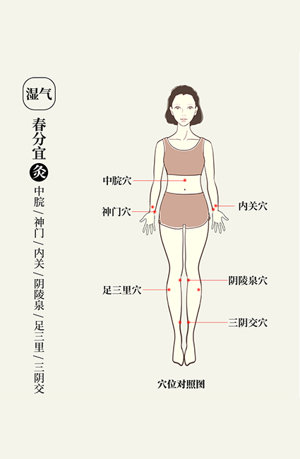 悠久的艾草