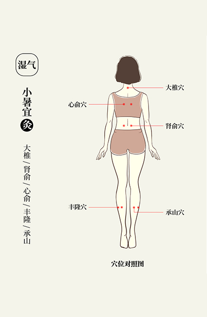 悠久的艾草