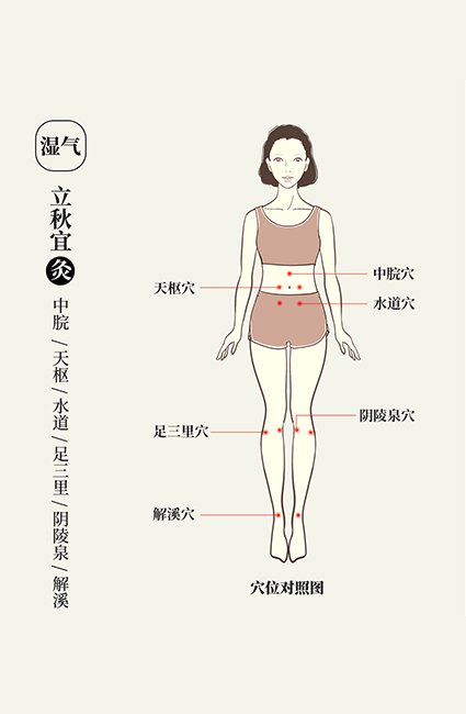 悠久的艾草