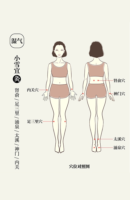 悠久的艾草